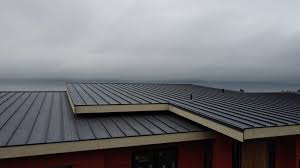 Best Rubber Roofing (EPDM, TPO)  in Carterville, MO